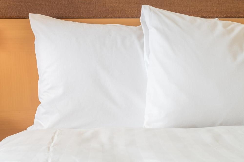 Holiday Inn Express Hotel & Suites Carthage de IHG Imagen 7